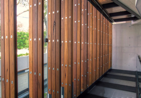 Urbanline项目占主导地位建筑奖