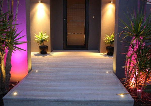 Enhanced-Grain-Driftwood.-6