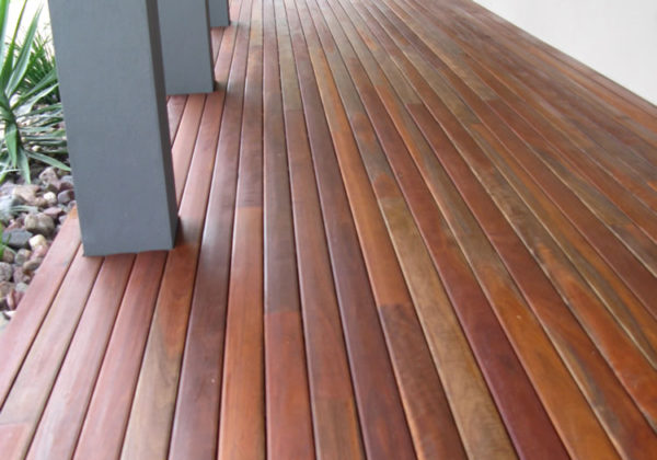ins_d-spotted-gum-13