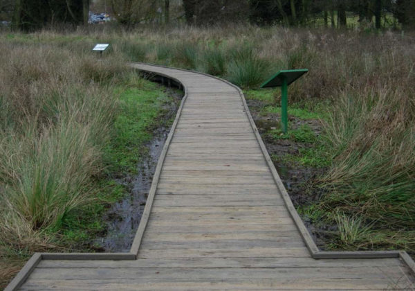 Wolvey-Board-Walk-021