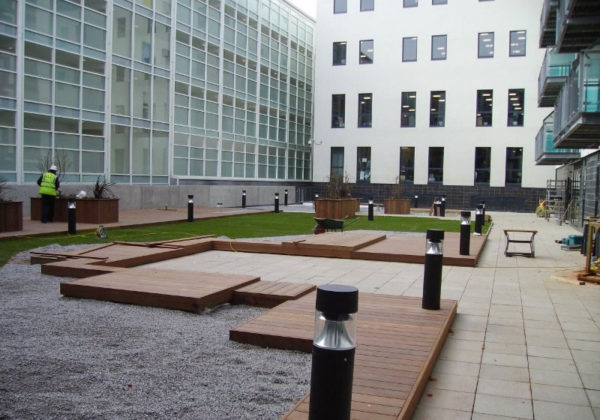 commercial_roof_garden1.