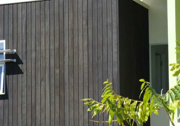 纽波特 - 包层斑点 - 胶涂层黑灰 - 金 - 海岸-22