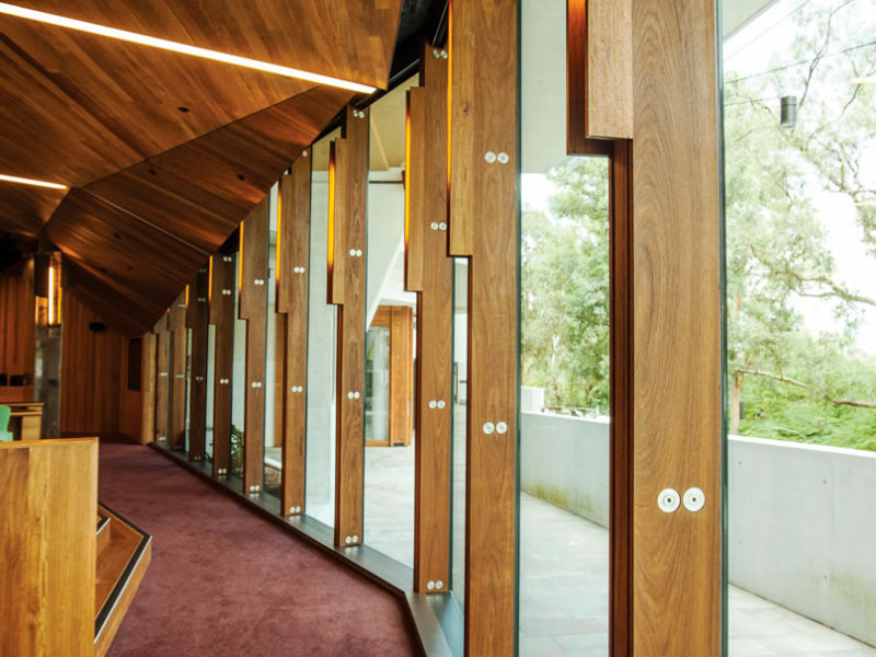 1自定义-BlackButt-Fins-UQOHC-10