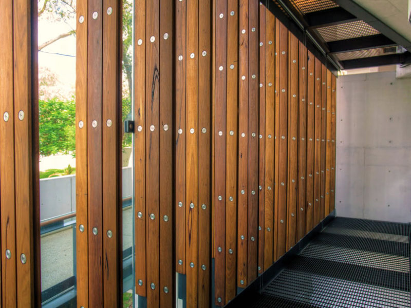 3定制-BlackButt-Fins-UQOHC-1