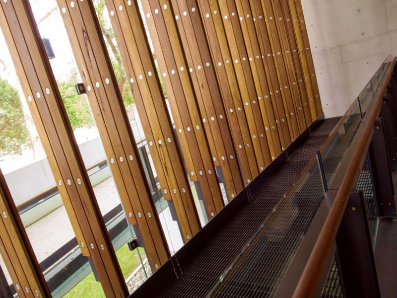 4自定义-BlackButt-Fins-UQOHC-7