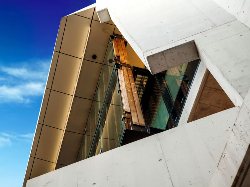 8-自定义-BlackButt-Fins-UQOHC-18