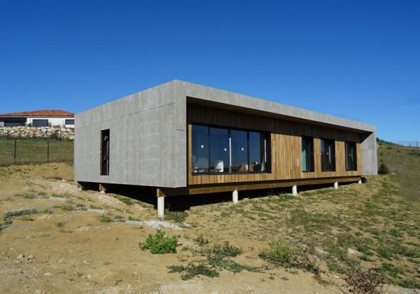 Modinex Viroc（101）