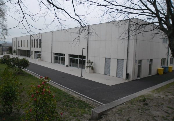 Modinex Viroc（114）