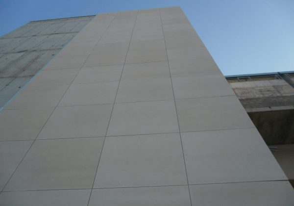 Modinex Viroc（133）