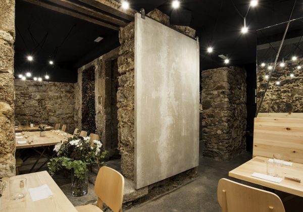 Modinex Viroc（41）