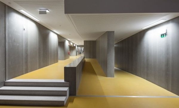 Modinex Viroc（49）