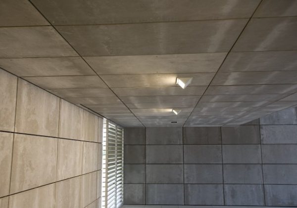 Modinex Viroc（51）