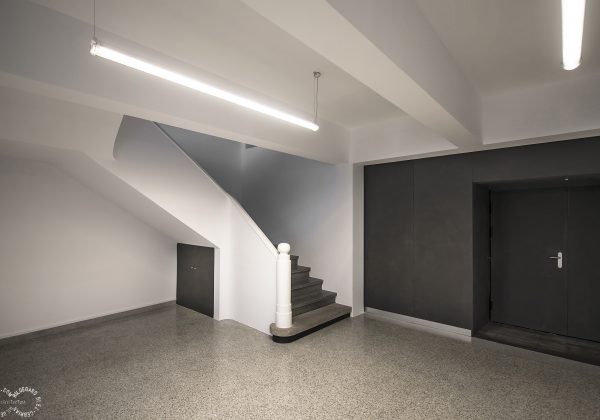 Modinex Viroc（55）