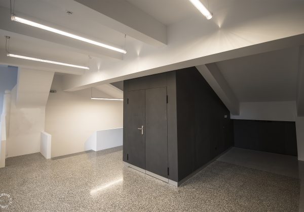 Modinex Viroc（56）